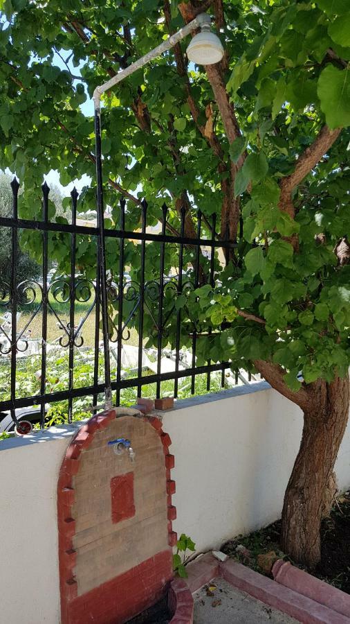 Cosy Family Apartment Near The Sea Polychrono Dış mekan fotoğraf